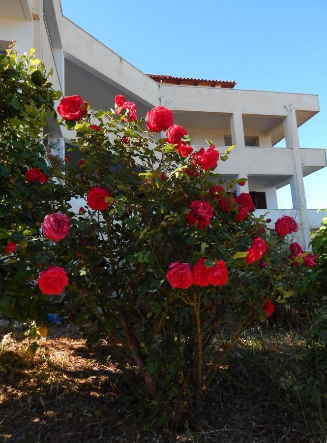 Οδυσσεια, Κοντά Σε Αεροδρόμιο, Λιμάνια Και Θάλασσες Daire Keratea Dış mekan fotoğraf