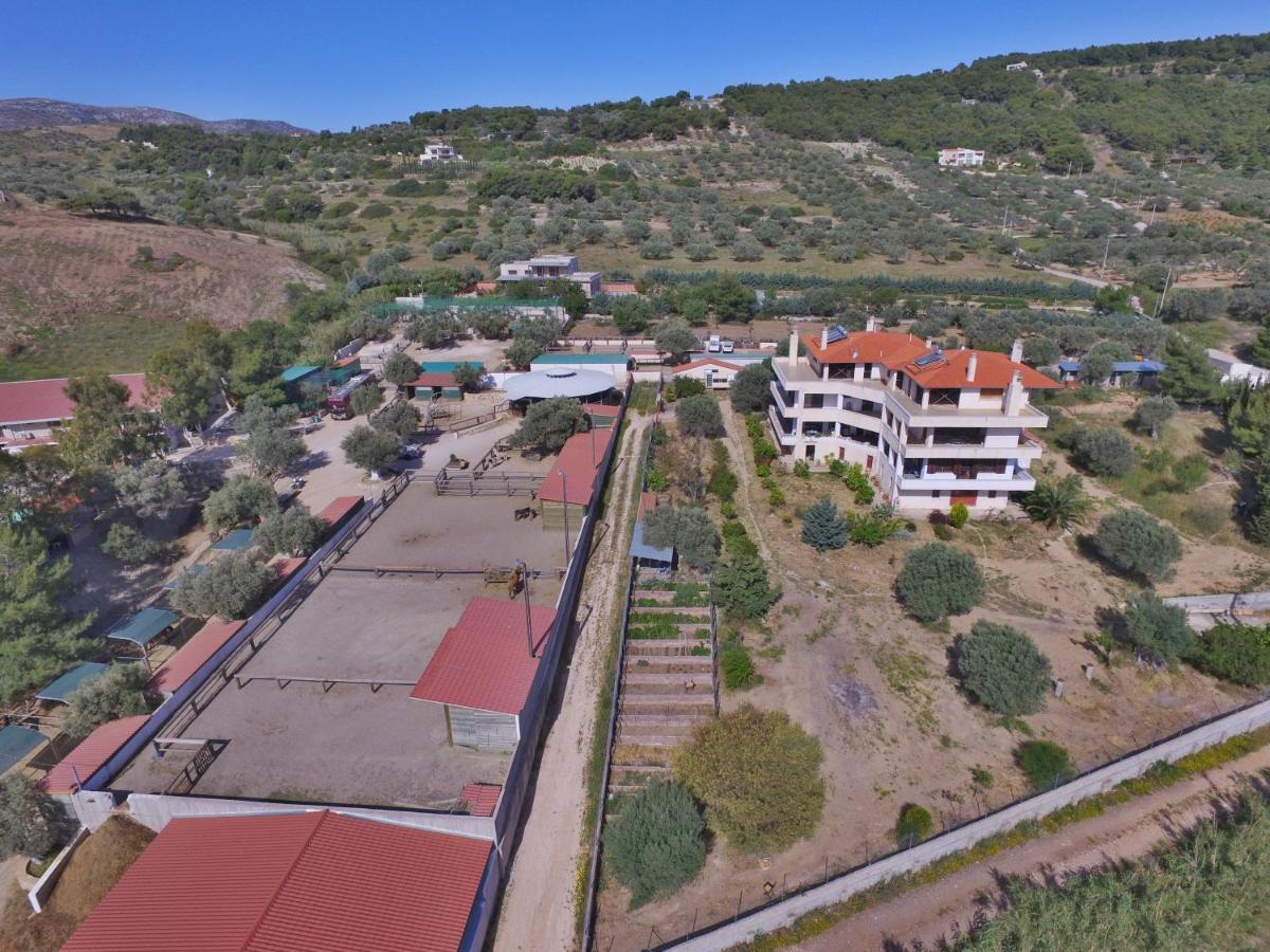 Οδυσσεια, Κοντά Σε Αεροδρόμιο, Λιμάνια Και Θάλασσες Daire Keratea Dış mekan fotoğraf