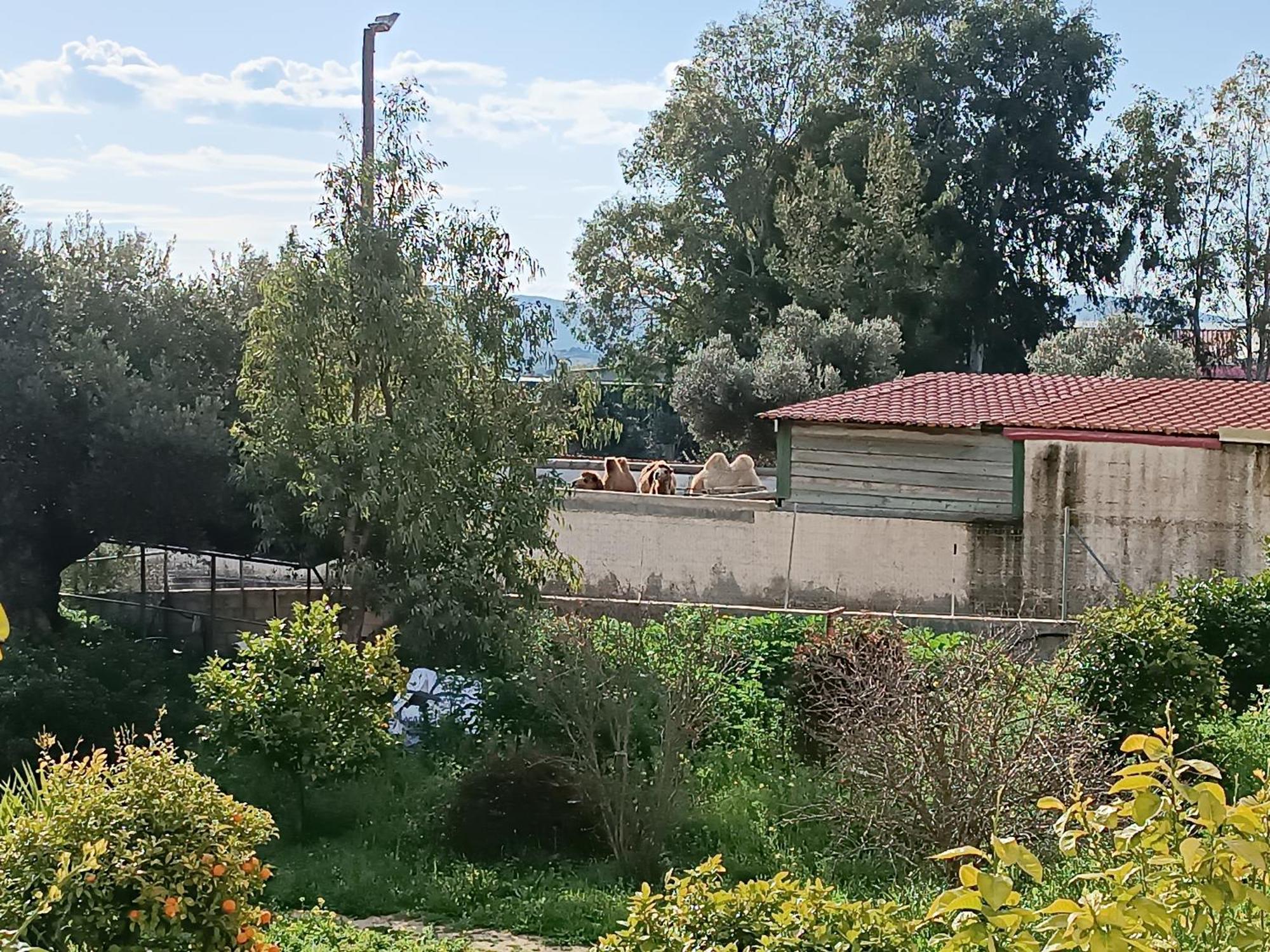 Οδυσσεια, Κοντά Σε Αεροδρόμιο, Λιμάνια Και Θάλασσες Daire Keratea Dış mekan fotoğraf